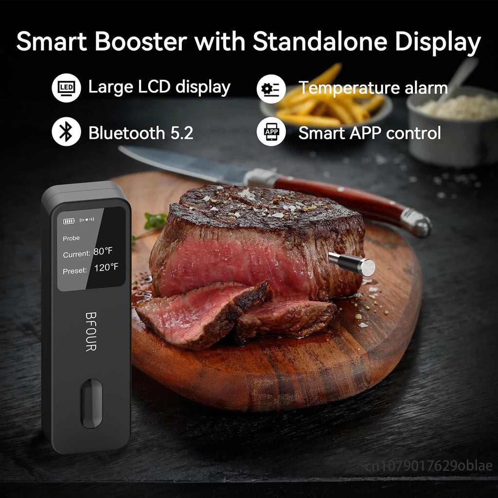 Homiq SmartTemp